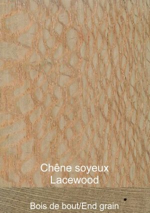 Chêne soyeux