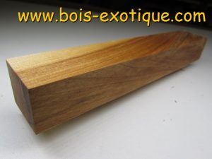 Paper Birch block